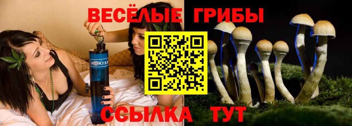 Псилоцибиновые грибы MAGIC MUSHROOMS Новошахтинск