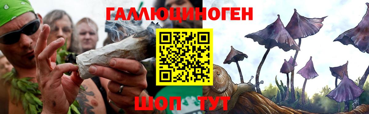 Новошахтинск  Галлюциногенные грибы MAGIC MUSHROOMS  Вход с VPN 